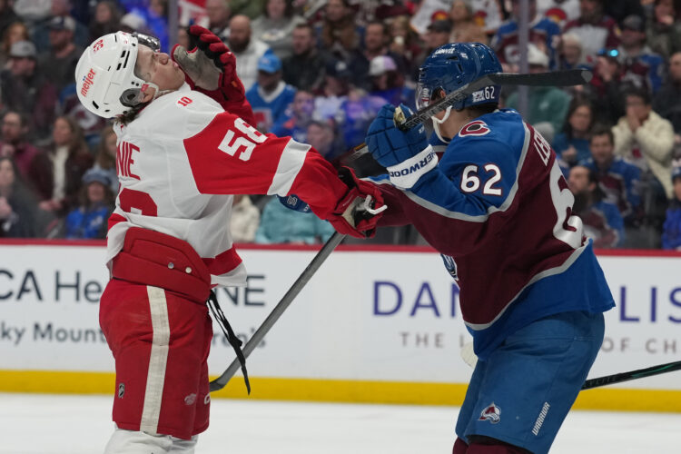 Gibson and Raymond power Red Wings to a 2-0 victory over the Avalanche | News, Sports, Jobs
