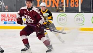 DETAILED SCOUTING REPORT – Adam Novotný, LW, Peterborough Petes (OHL)