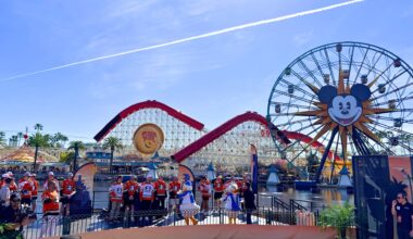 Daps Magic Logo Outline 2022