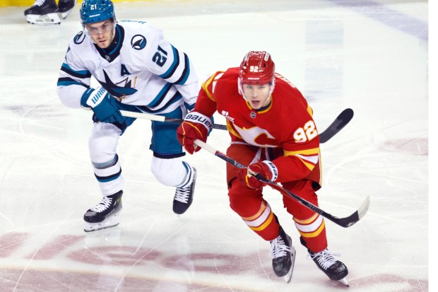 San Jose Sharks' Alexander Wennberg (21) vies for control of the puck with Calgary Flames' Matvei Gridin during the first period of an NHL hockey games in Calgary, Saturday, Jan. 31, 2026. (Larry MacDougal/The Canadian Press via AP)