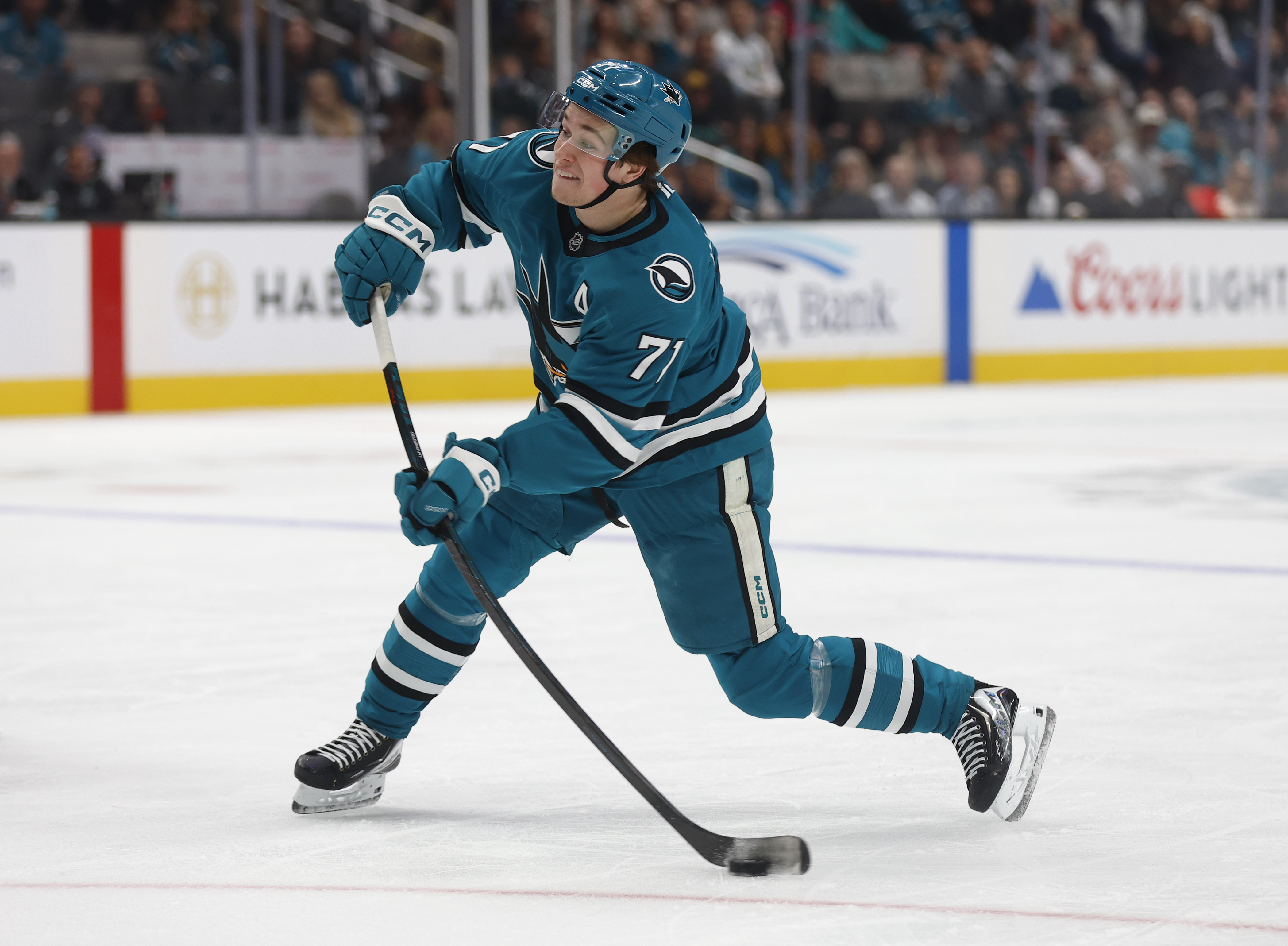 San Jose Sharks' Macklin Celebrini (71) takes a shot against...