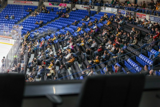 Audience members look on during a Wilkes-Barre/Scranton Penguins game on Wednesdsy, Jan. 21, 2026. (JASON ARDAN / STAFF PHOTOGRAPHER)