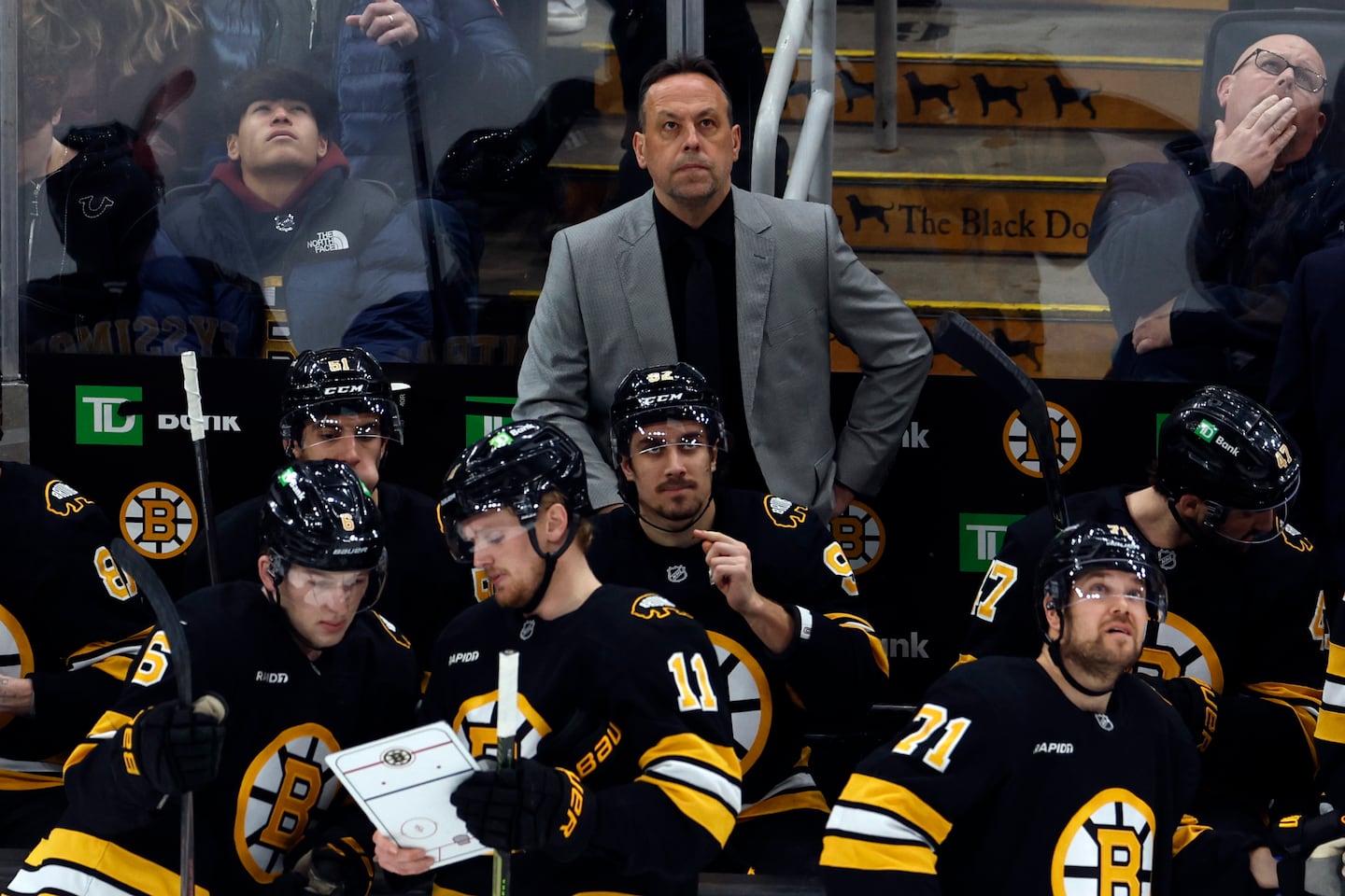 With Marco Sturm behind the bench, the Bruins are back in the playoff hunt.