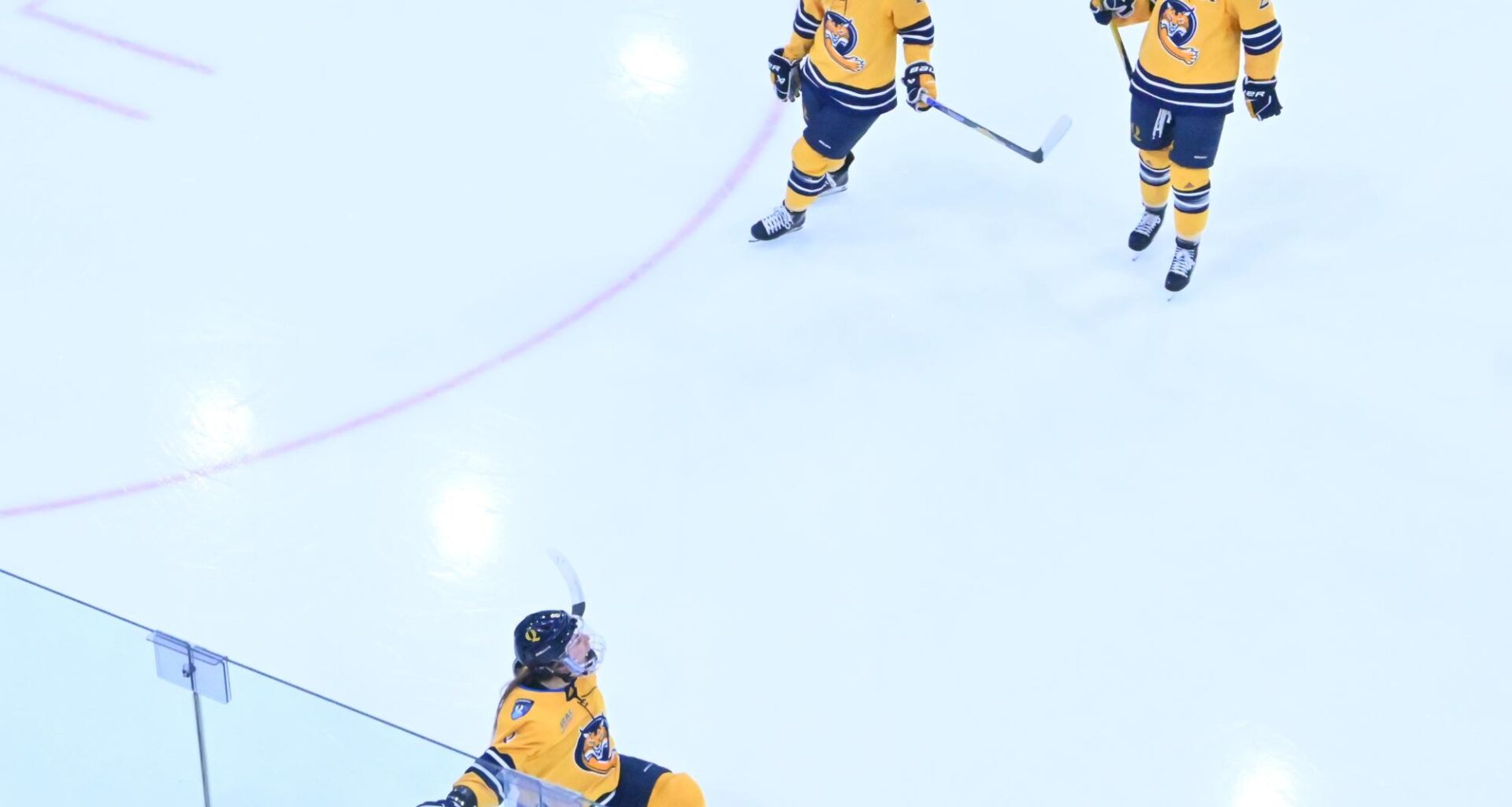 Women’s ice hockey dominates Brown in first game of ECAC Quarterfinals