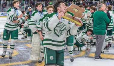 MIAA D2 boys hockey playoffs 2026: Full schedule and results