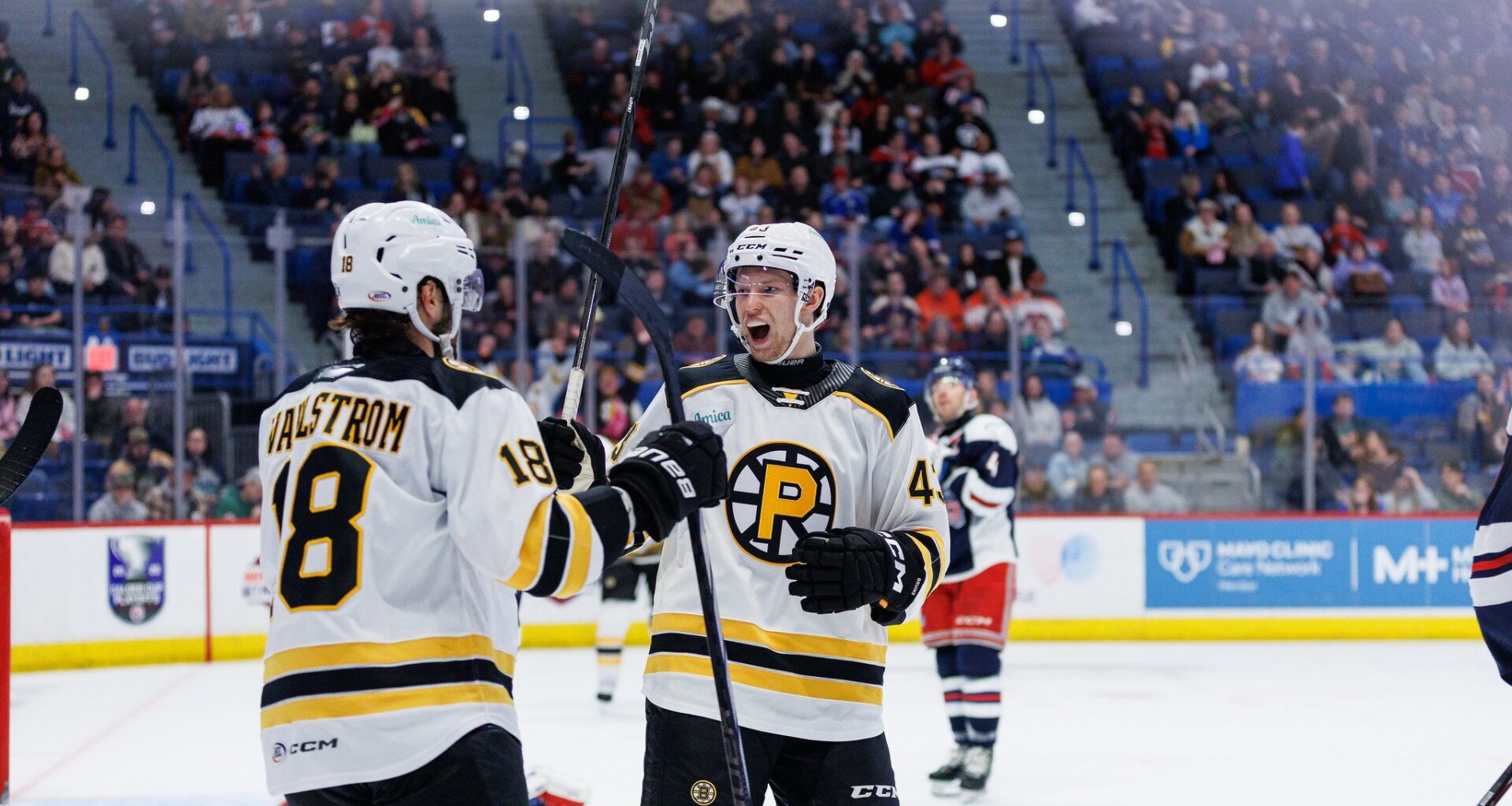 Dans Locmelis Providence Bruins