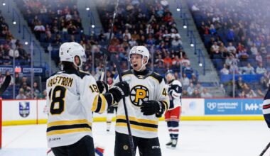 Dans Locmelis Providence Bruins