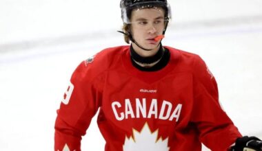 2026 NHL draft prospect Gavin McKenna facing assault charges