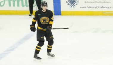 Frederic Brunet with the Providence Bruins