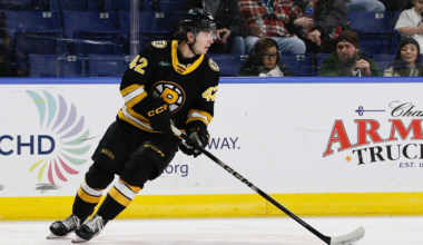 Frederic Brunet Providence Bruins