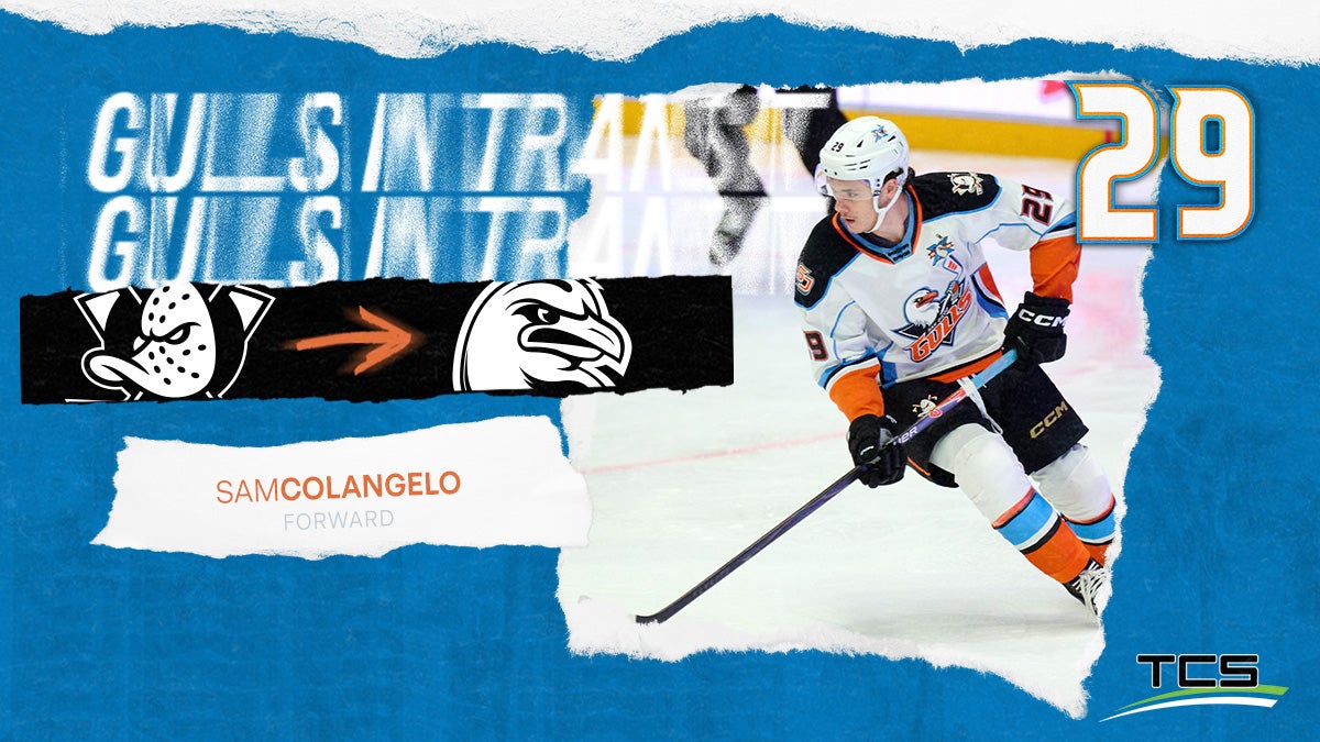 ANAHEIM DUCKS REASSIGN SAM COLANGELO TO SAN DIEGO