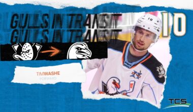 Anaheim Ducks Reassign Tim Washe to San Diego