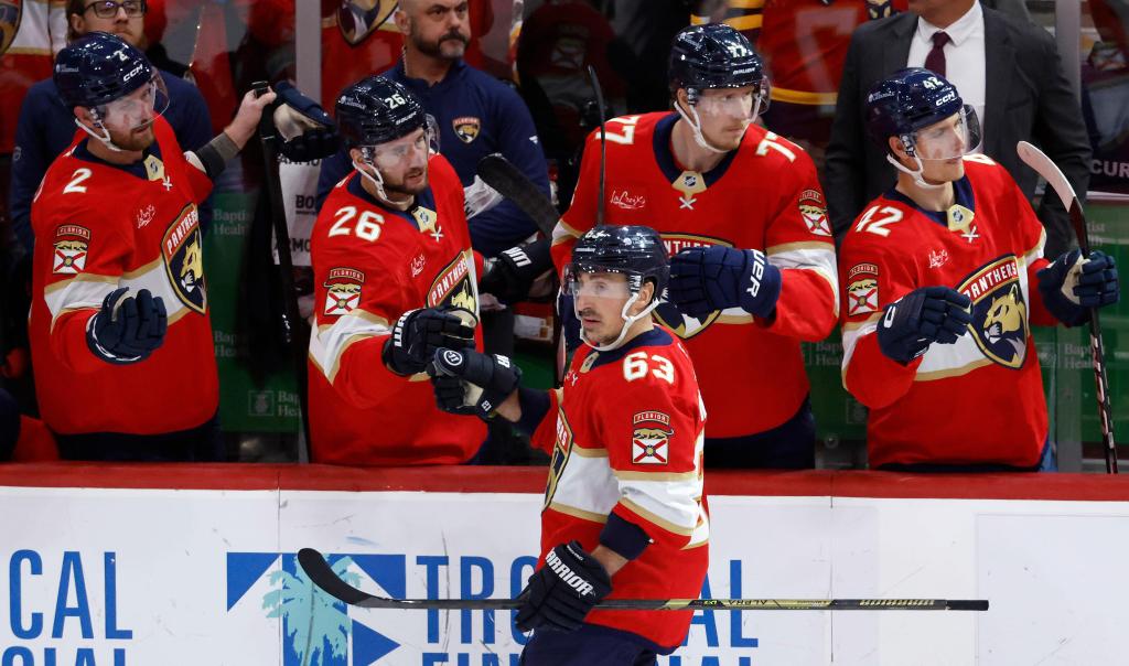 Panthers look to 'dial in' for post-Olympics playoff push
