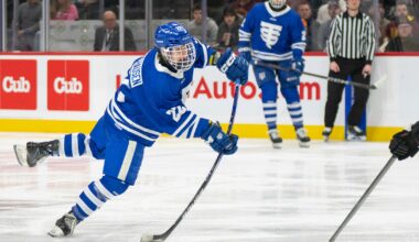 Boys hockey players to watch in MN section tournaments