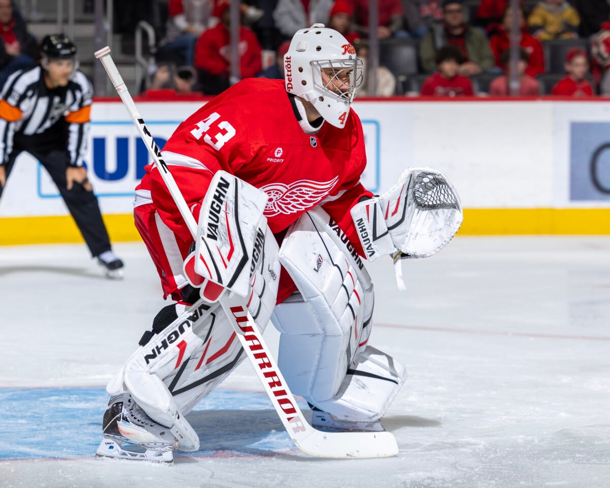 Petr Mrazek Detroit Red Wings