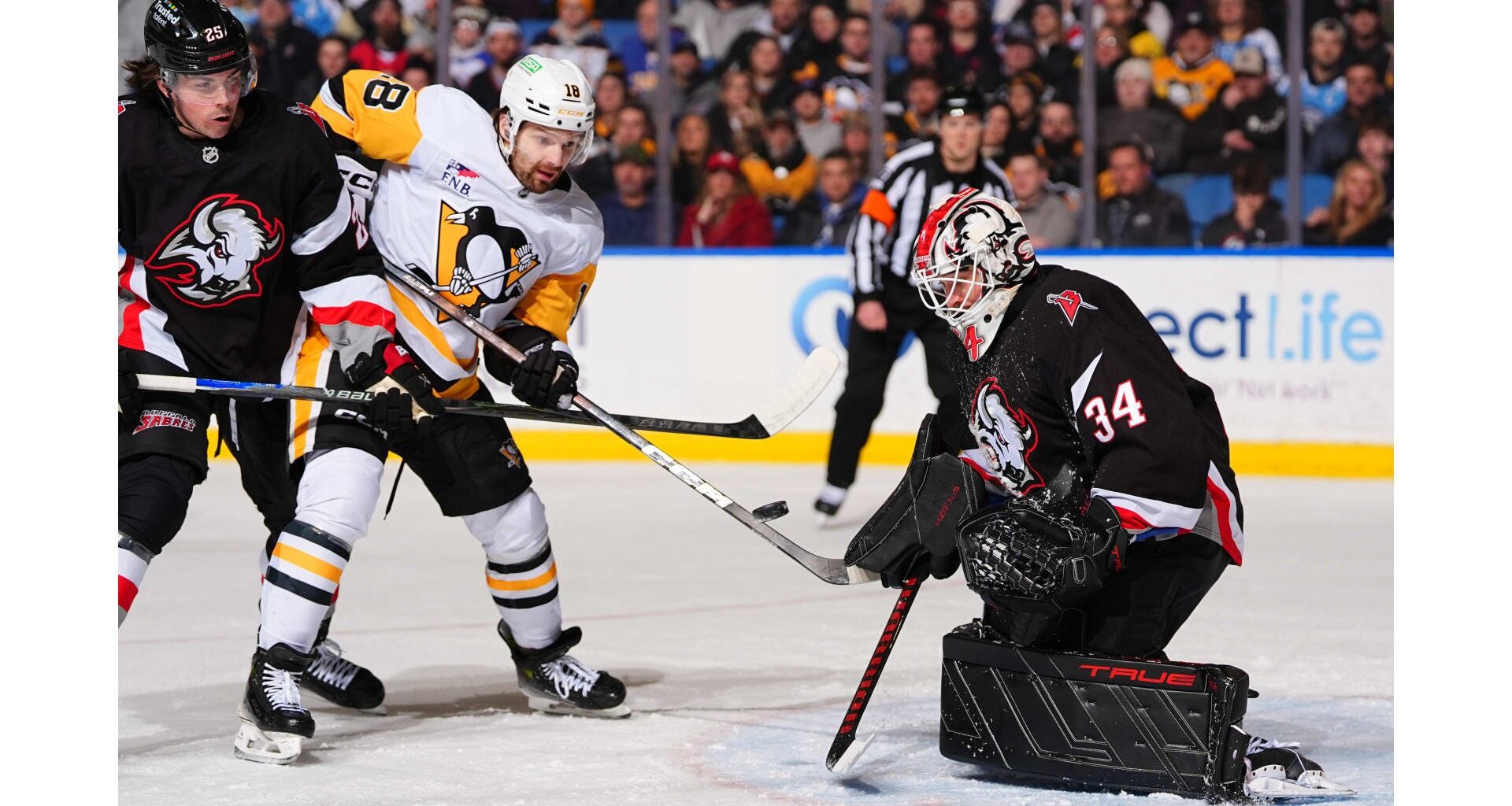 Thomas Novak, Alex Lyon