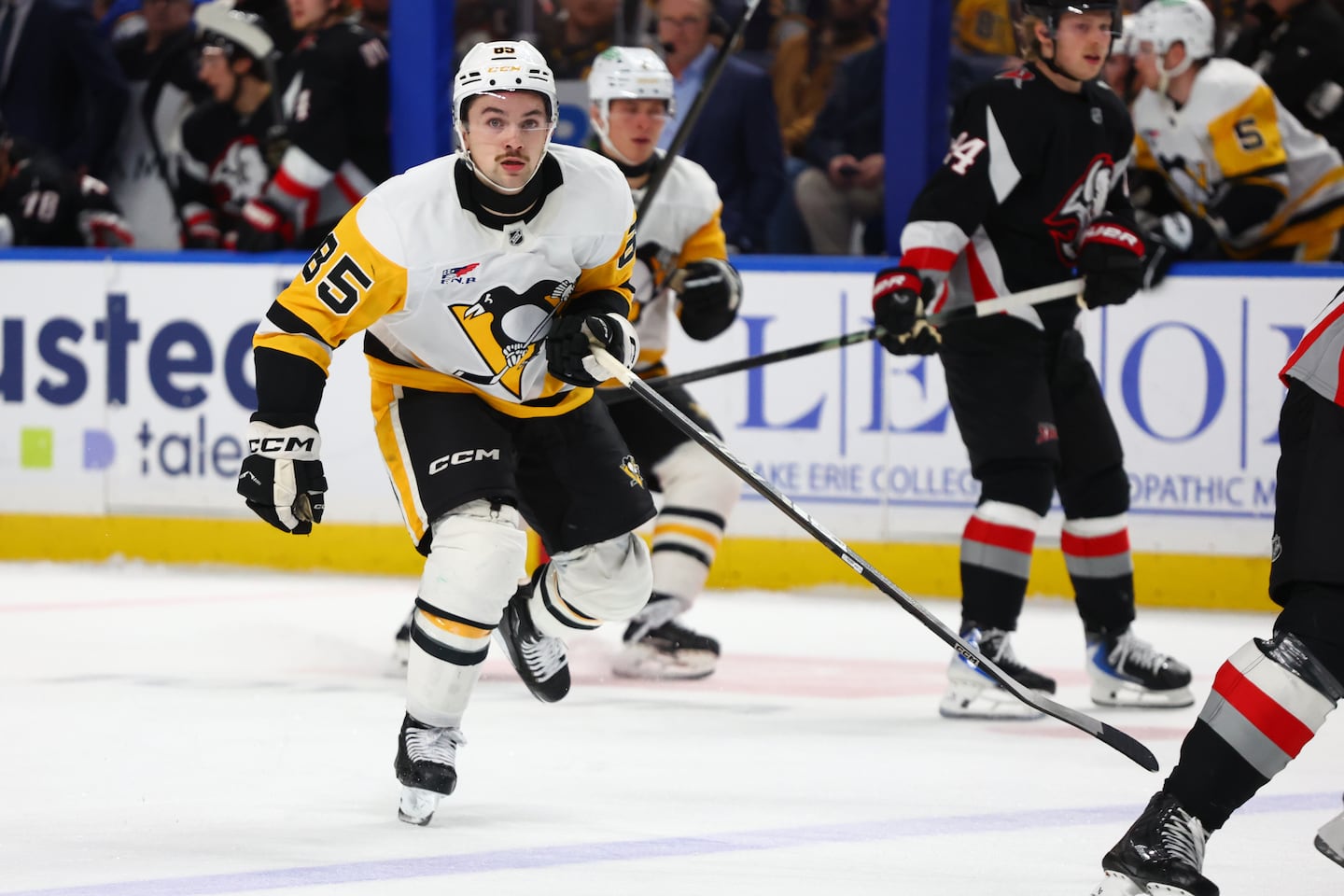 Undrafted Avery Hayes made a big NHL debut for the Penguins on Thursday night.