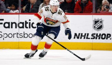 Sandis Vilmanis of the Panthers has played only 14 games in the NHL.