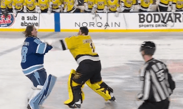 bruins, lightning, red wings