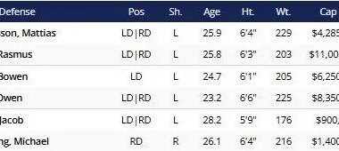 Buffalo Sabres defense