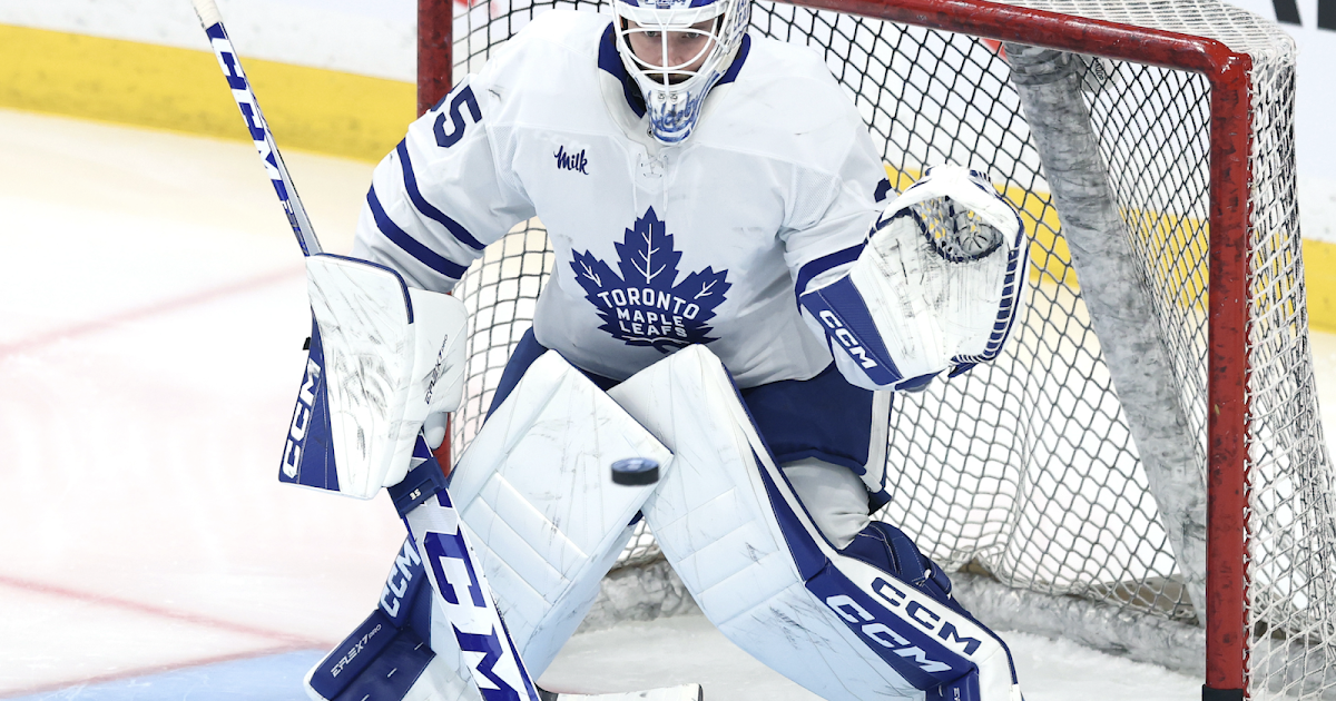 Maple Leafs Trade Rumors: Dennis Hildeby Linked to Metropolitan Club