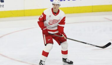 Simon Edvinsson Detroit Red Wings