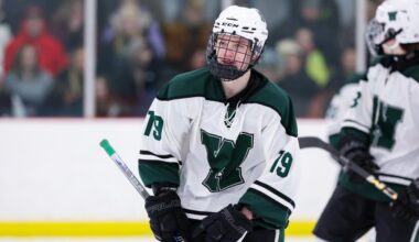 Unforeseen decision has Dalton DeLozier rolling for hometown Demons – Morning Journal