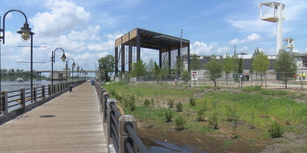 Wilmington Arena Project plans Hurricanes watch party to unveil market analysis