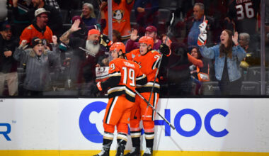 Ducks Activate Troy Terry, Place Leo Carlsson On Injured Reserve – Pro Hockey Rumors