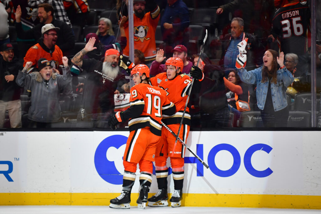 Ducks Activate Troy Terry, Place Leo Carlsson On Injured Reserve – Pro Hockey Rumors