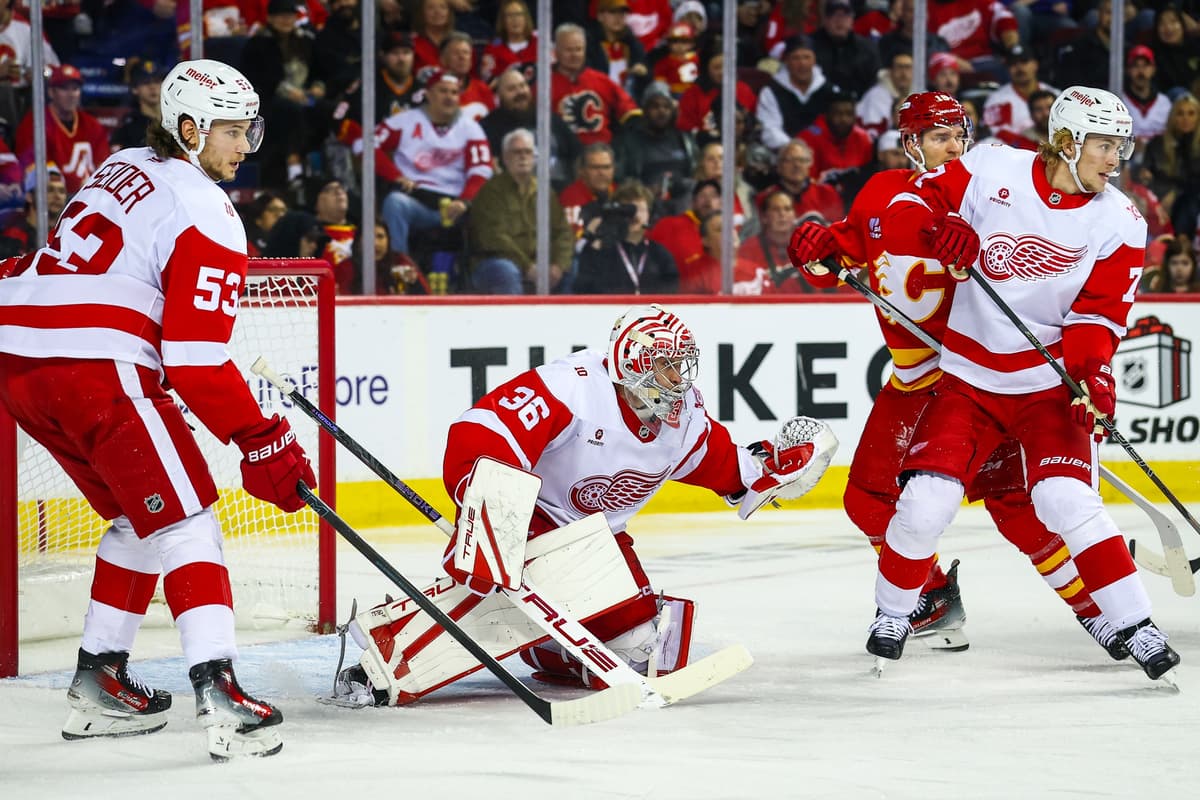 The Detroit Red Wings look to be on the cusp of making the post-season