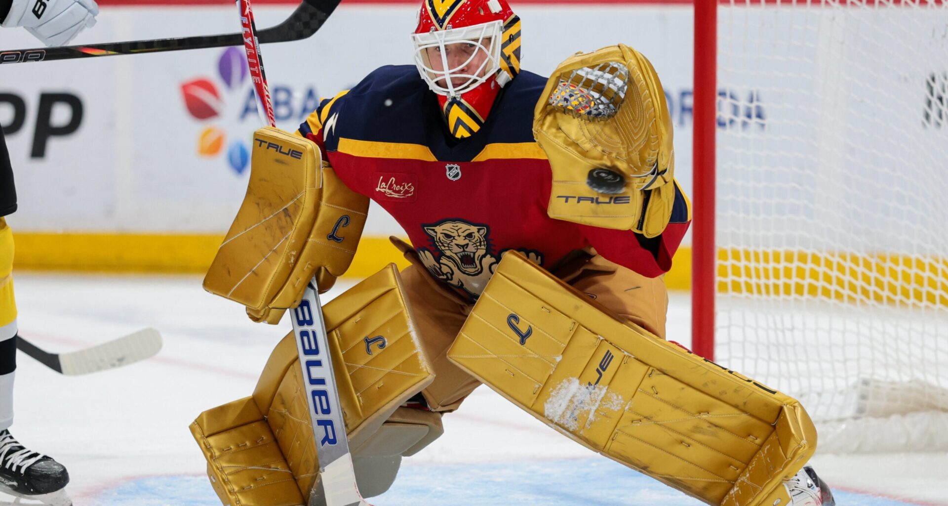 NHL Rumours: Florida Panthers in Limbo with Starting Goalie