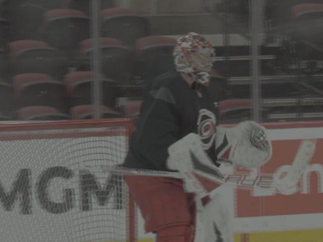 Two Carolina Hurricanes players to compete for Denmark at Winter Olympics :: WRALSportsFan.com