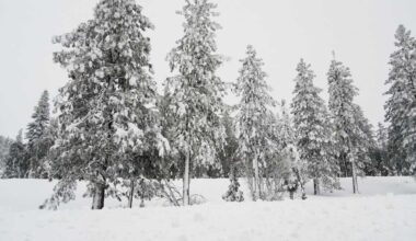 Avalanche near Tahoe | Rescue crews pause recovery of victims