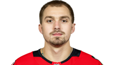 Artyom Levshunov headshot - Chicago Blackhawks D