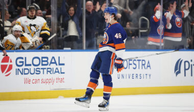 'There's a bird in here': Unexpected winger assists Islanders on goal