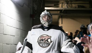 Capitals call up Garin Bjorklund, send down Clay Stevenson so that he can play games with Hershey Bears during Olympic Break