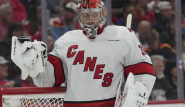 2 Canes, both Danes will play for national team in Winter Olympics :: WRAL.com