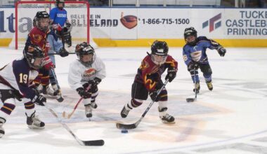 Everblades, Panthers power Gulf Coast growth