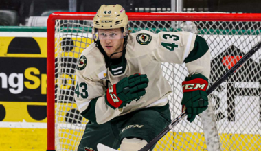 MINNESOTA WILD RECALLS HUNTER HAIGHT FROM IOWA