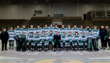 Henry reflects on the Wildcats’ hockey season | News, Sports, Jobs