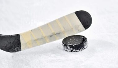 Maine hockey coach says he pulled team from ice due to safety concerns