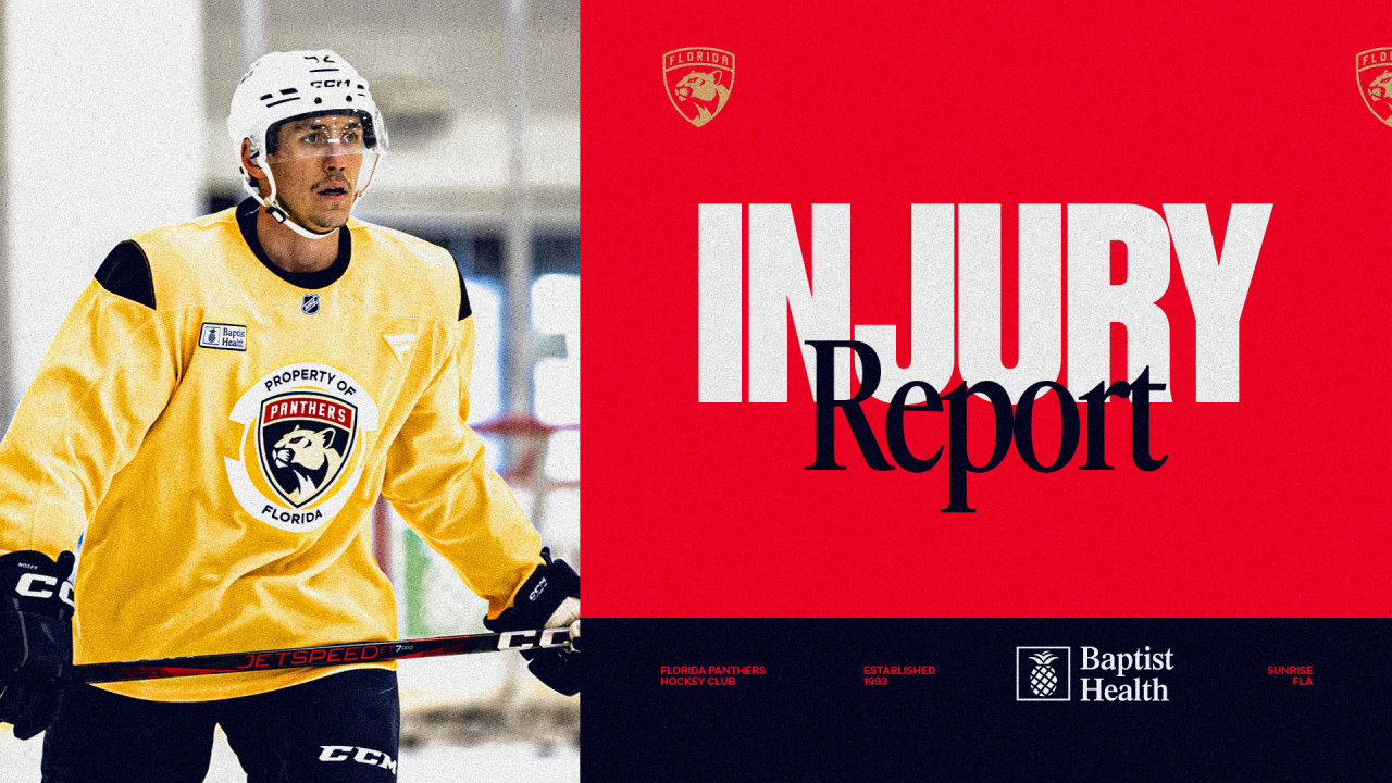 Updates on Kulikov, Nosek and other injured Panthers