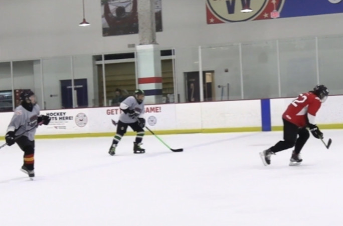 Linda skating with the puck