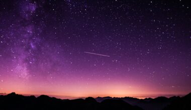 February 10th News and Stars