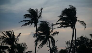 Ottawa Senators vs Carolina Hurricanes