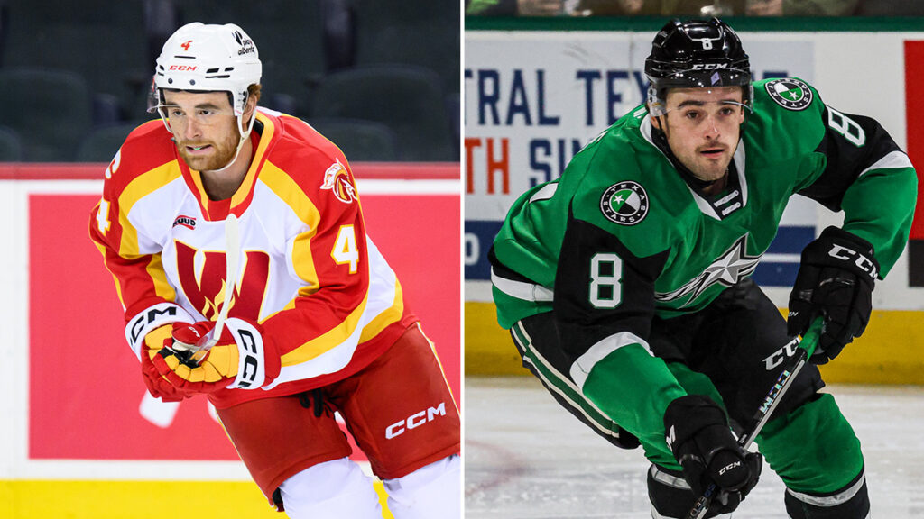 Stars acquire defenseman Poirier, Flames add White | TheAHL.com