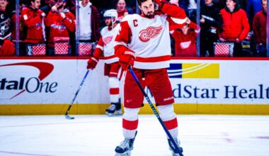 Dylan Larkin, Red Wings