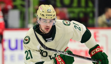 MINNESOTA WILD RECALLS DEFENSEMAN DAVID SPACEK FROM IOWA