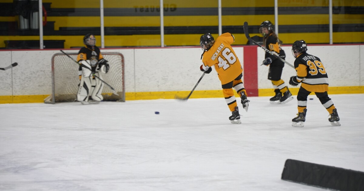 Youth hockey players inspired by Team USA men's and women's gold medals